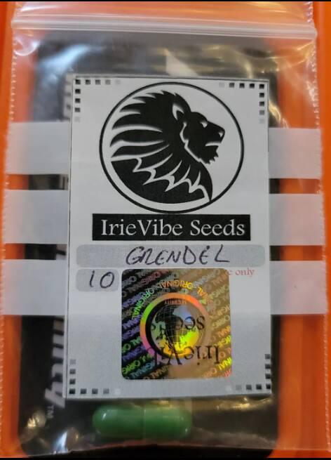 The Blazing Pistileros (Irie Vibe Seeds)