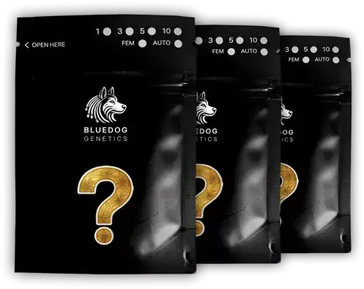 Bluedog Genetics