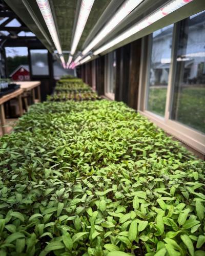 Active Grow