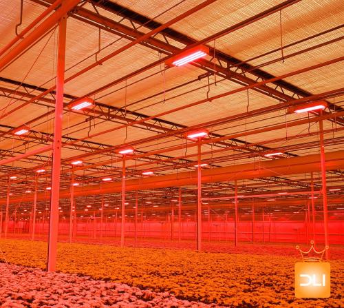 Dutch Lighting Innovations