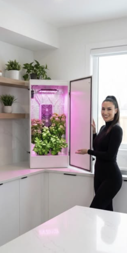 Unique Hydroponics