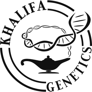 Khalifa Genetics