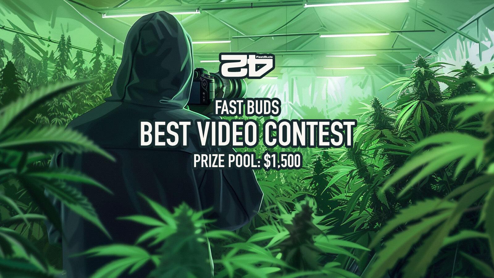 Fast Buds Video Contest 2026