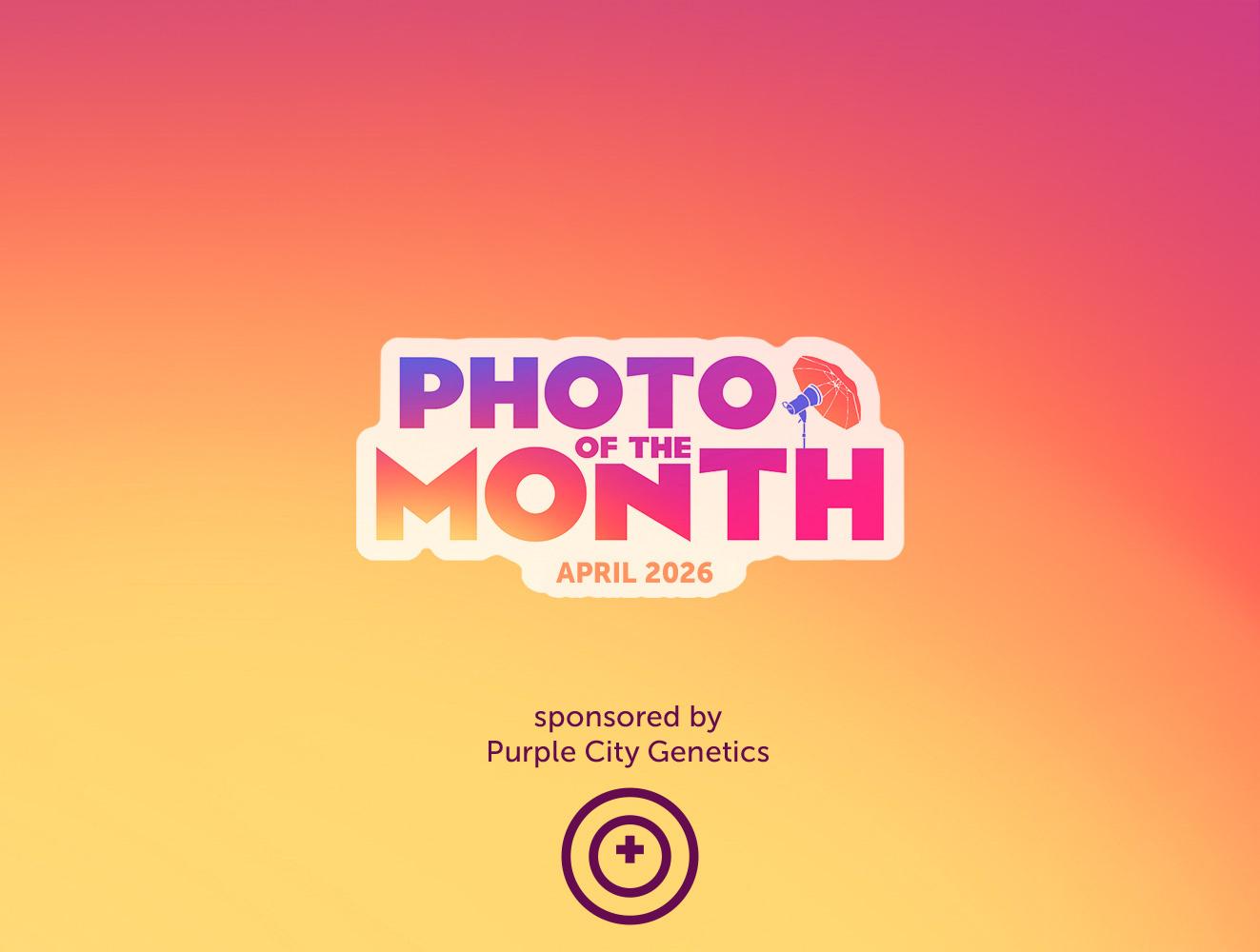 Photo of the Month April 2026