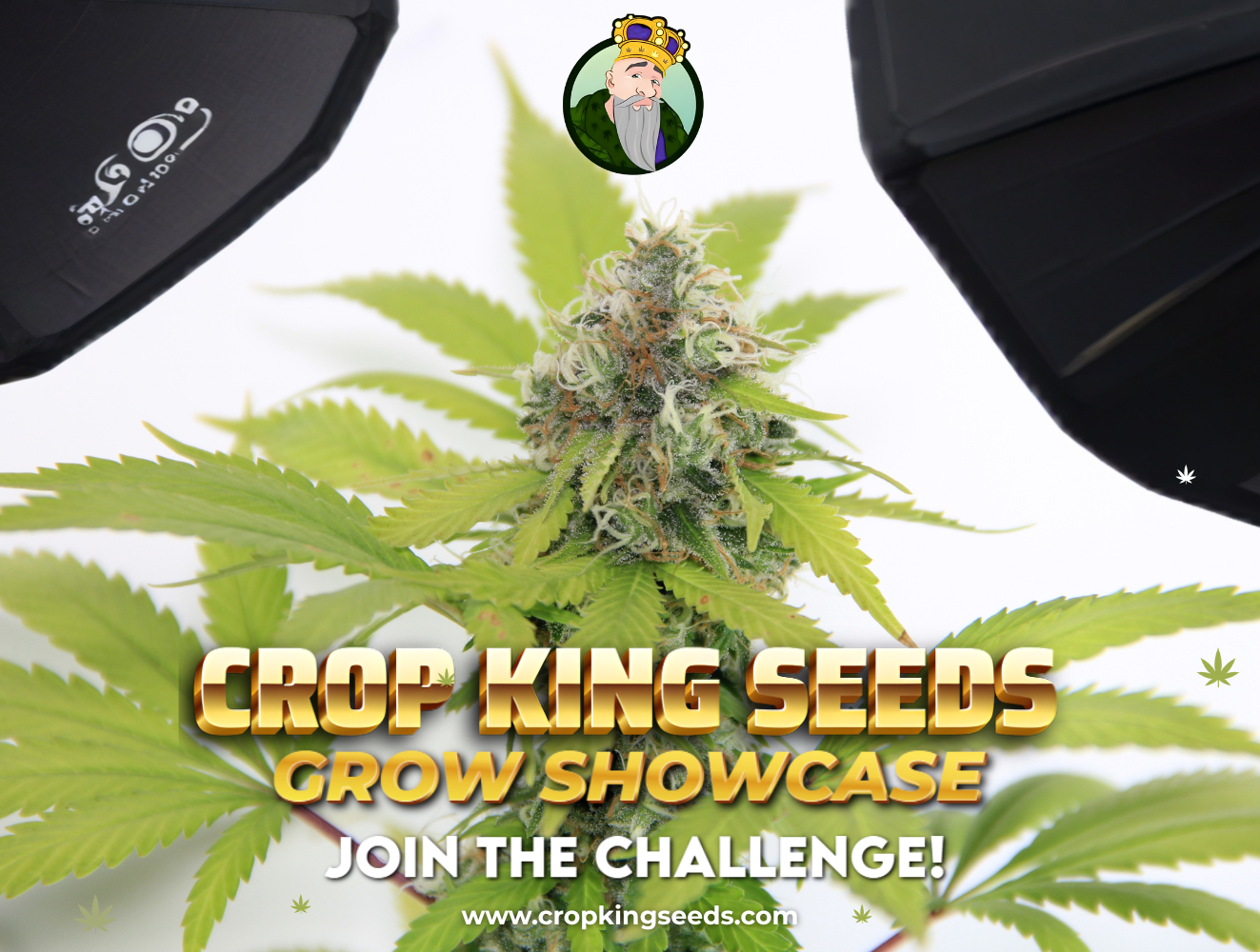 Crop King Seeds Grow Showcase