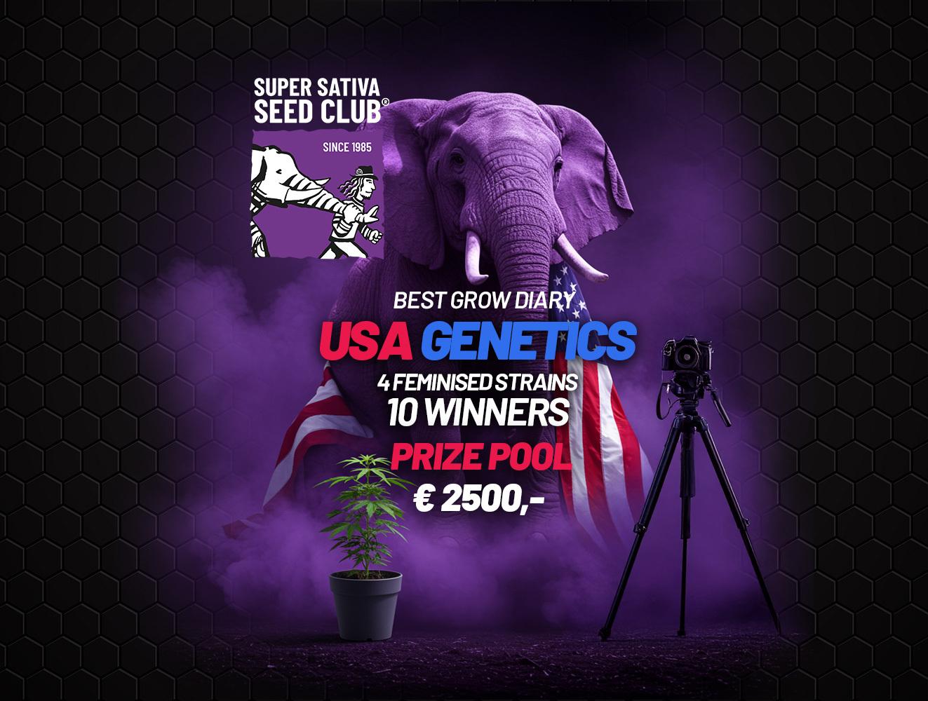 Grow Diary USA Genetics 2026