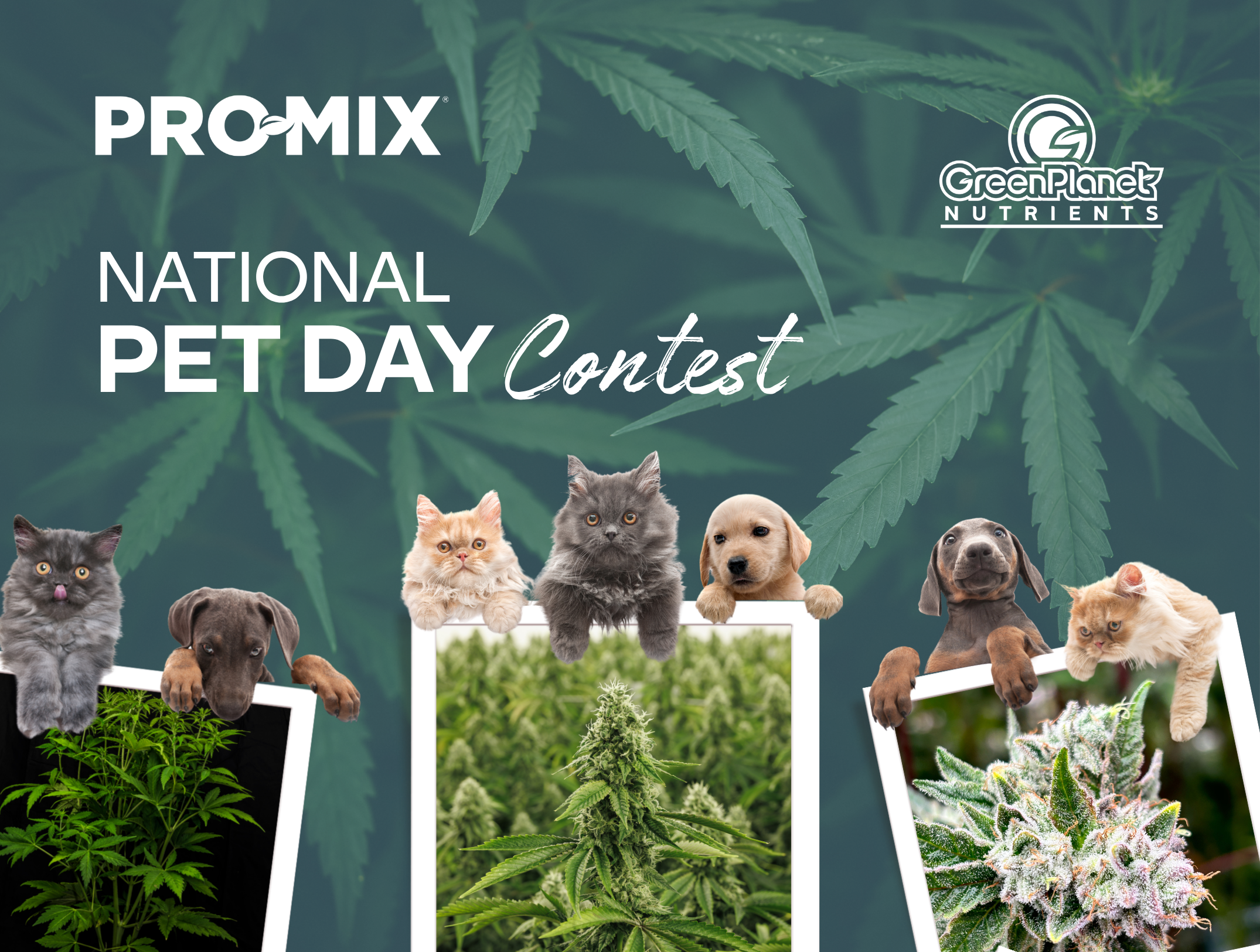   	 CELEBRATE NATIONAL PET DAY WITH PRO-MIX AND GREENPLANET NUTRIENTS!