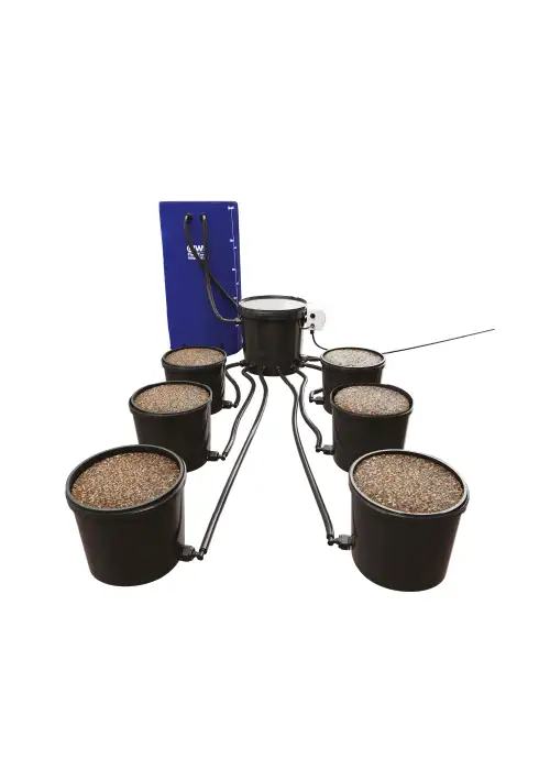 Flood + Drain Standard
