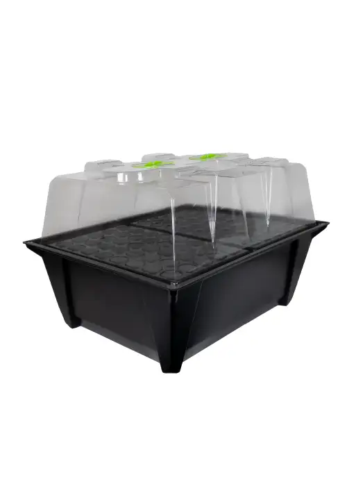 X-Stream Aeroponic Propagator - 80 Site