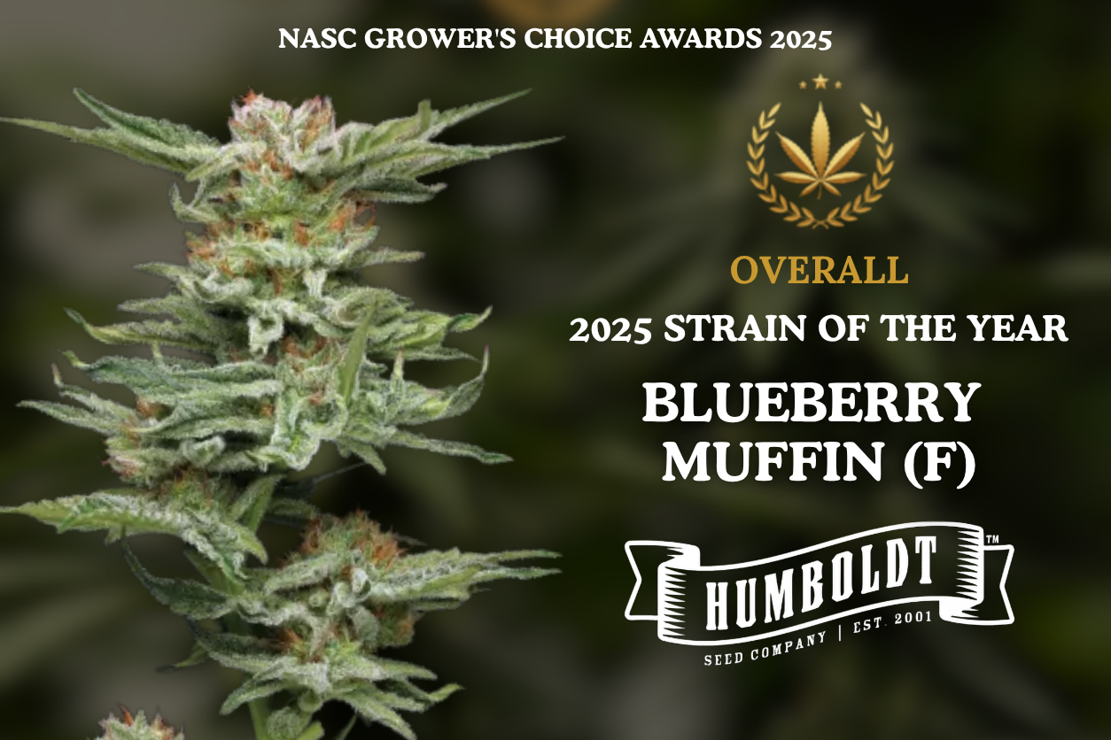 2025 Strain of the Year