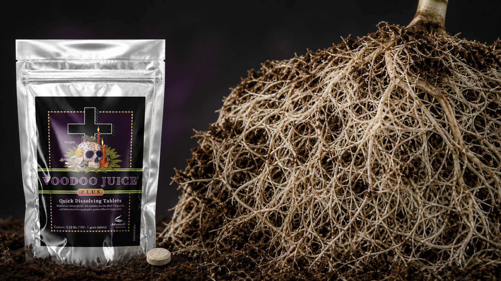Strengthen the Plant From the Ground Up: Root-Zone Activation Strengthen the Plant From the Ground Up: Root-Zone Activation