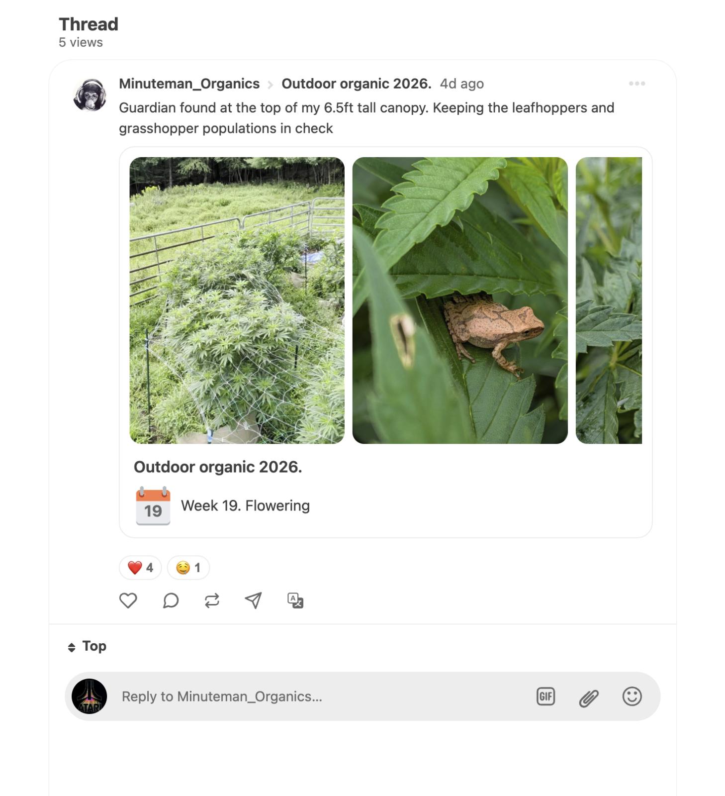 Post quickly, react easily, and keep the conversation growing.