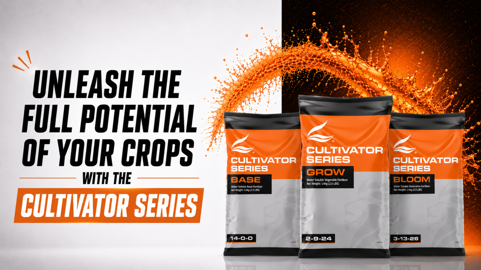 The Foundation: Maximizing Genetic Potential With the Right Base The Foundation: Maximizing Genetic Potential With the Right Base