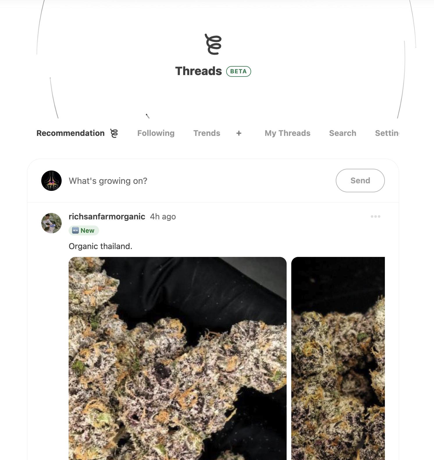 Discover fresh posts from the GrowDiaries community in one continuous feed.