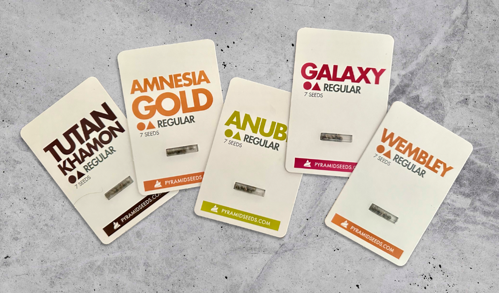 Pyramid Seeds' Regular Seeds