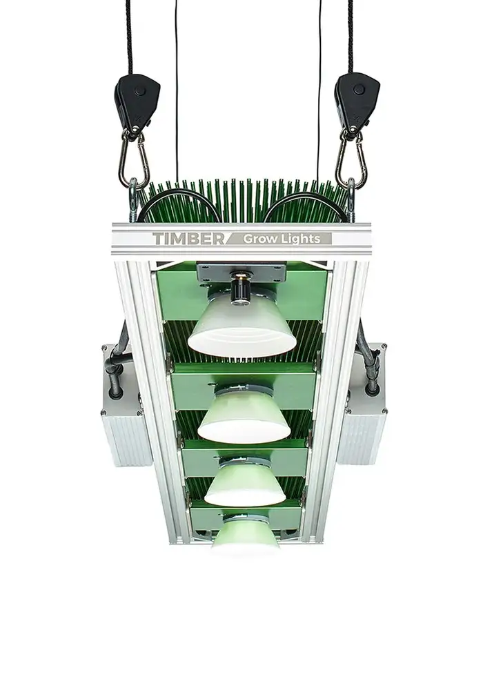 Model 4VL