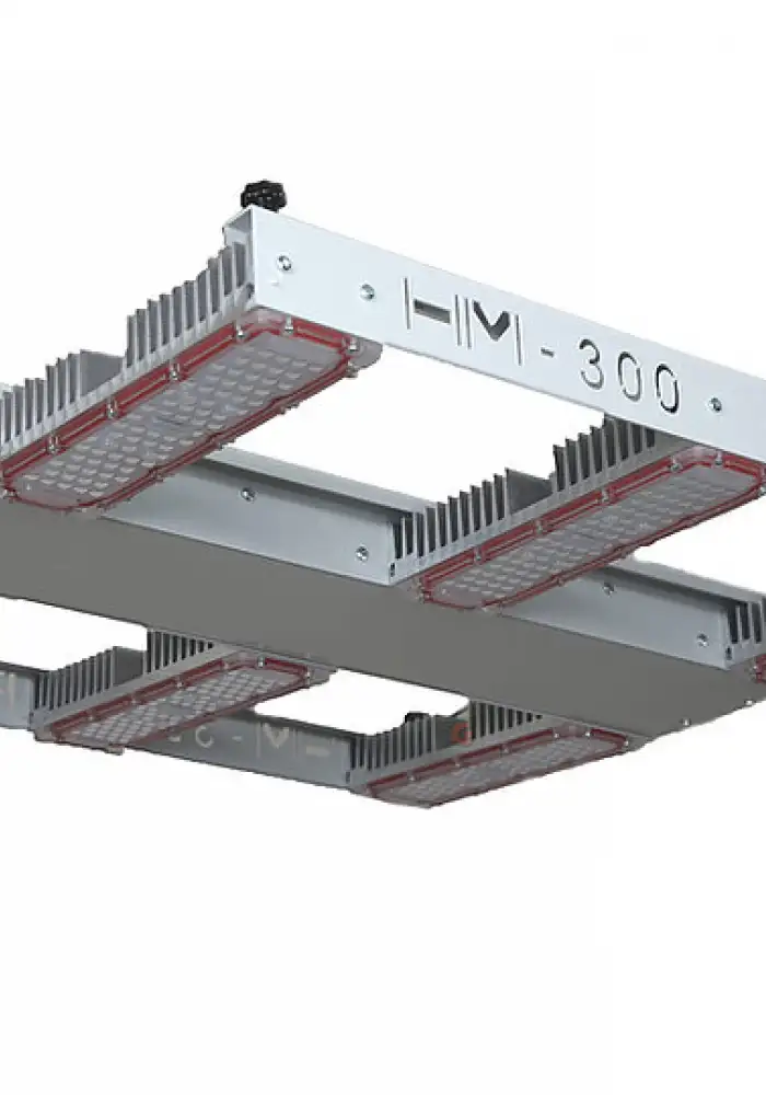 HM Parius 300
