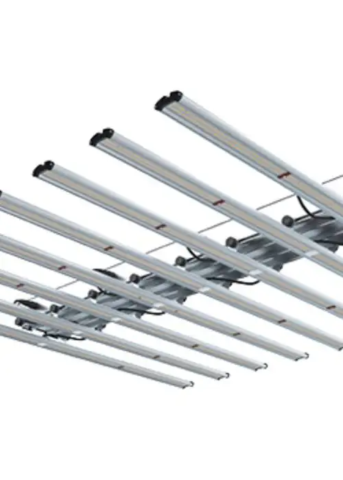 Led PRO 1000w