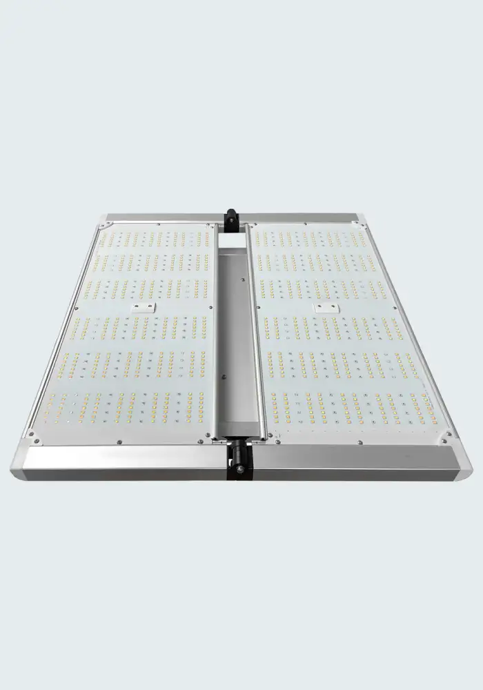 Caluma LED Force 320 W
