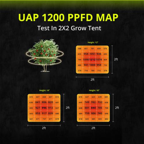 UAP1200