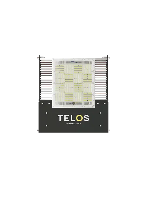 Telos Dynamic 1200