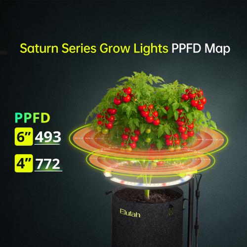 Saturn 240-Undercanopy light