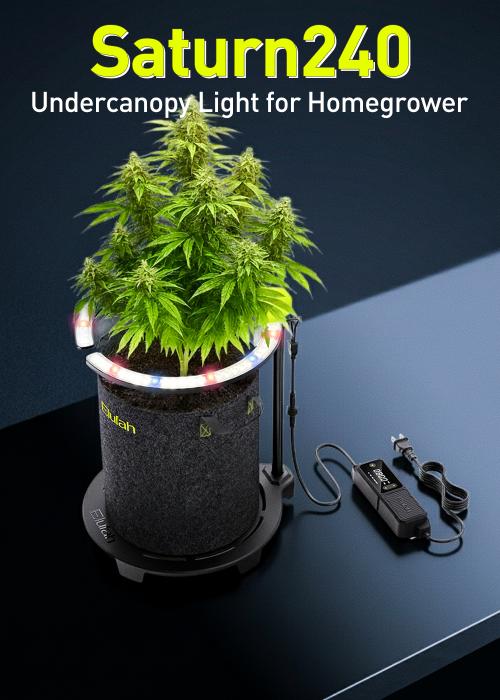 Saturn 240-Undercanopy light by Elufah grow lamp. Lightin