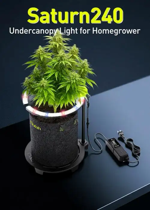 Saturn 240-Undercanopy light