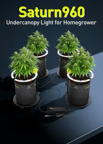 undercanopylight- saturn 960
