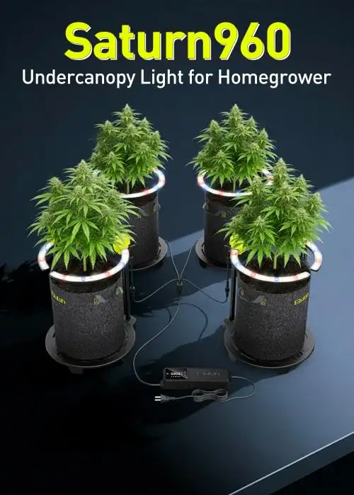 undercanopylight- saturn 960