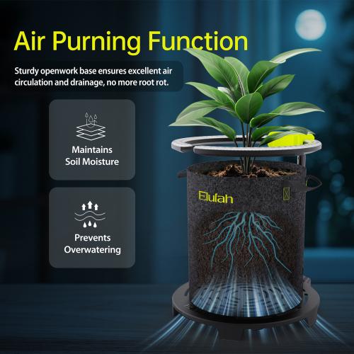 undercanopy light-saturn720