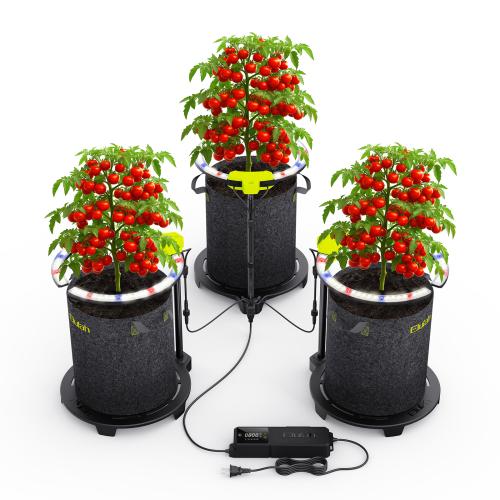 undercanopy light-saturn720