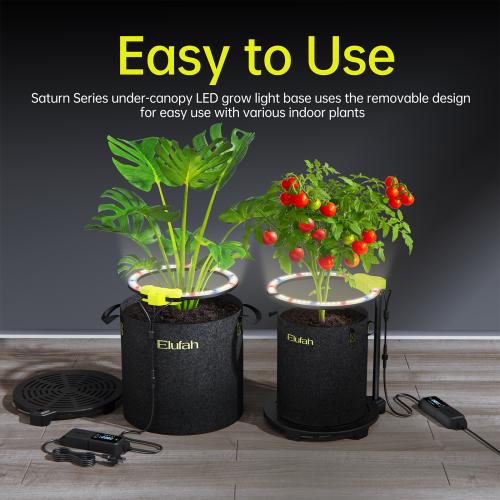 undercanopy light-saturn720