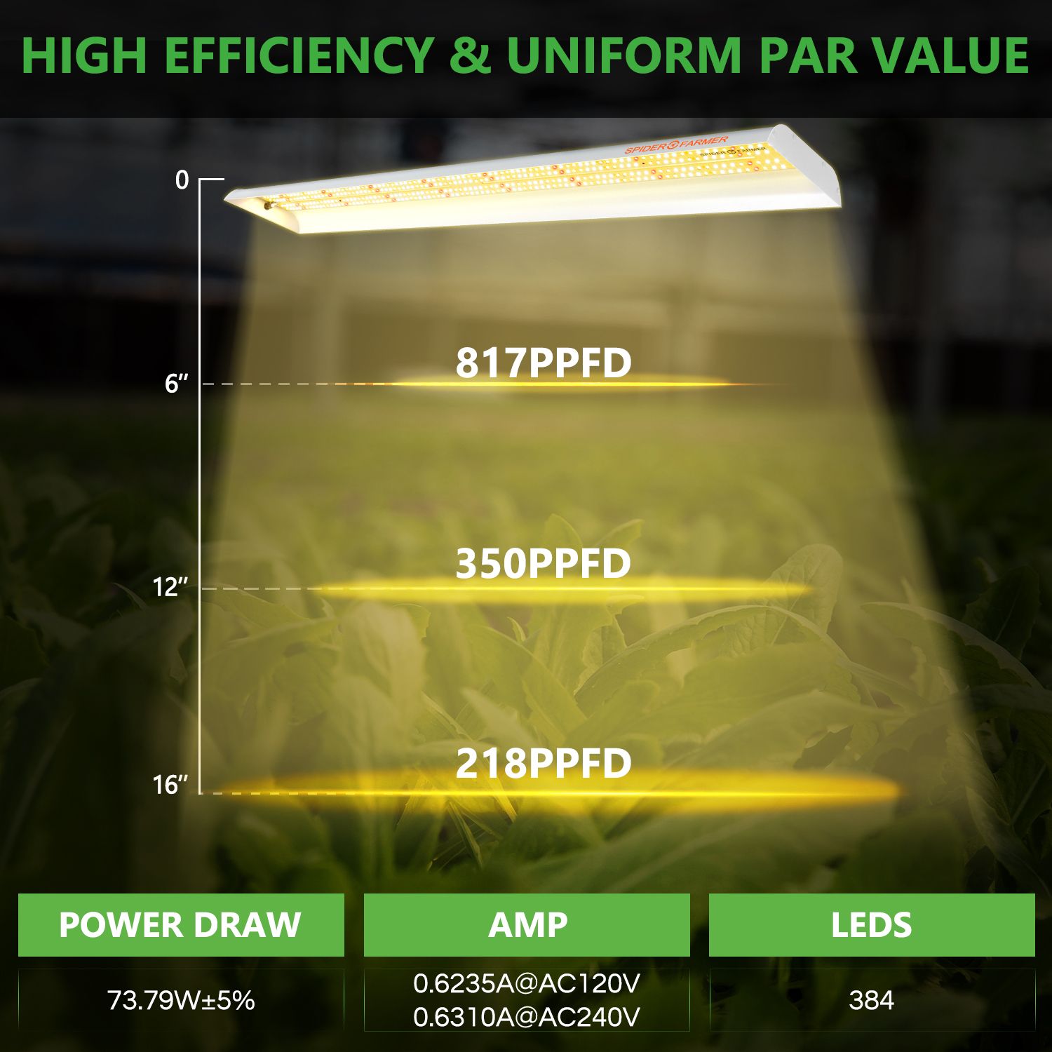 SF600 by Spider Farmer grow lamp. Lighting information- G