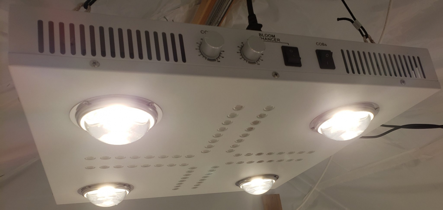 Optic 4 XL 460w COB LED Grow Light by Optic LED grow lamp