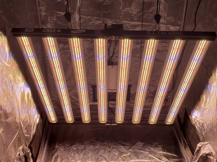 Slim 600H LED Grow Light by Optic LED grow lamp. Lighting