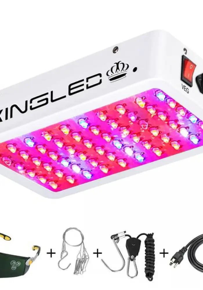 King Plus 1000w