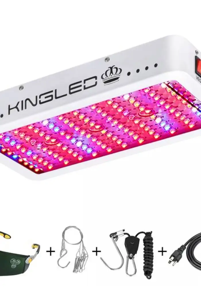 King Plus 1200w