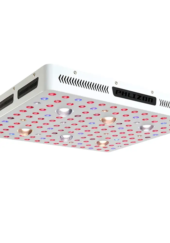 Phlizon 3000W CREE COB