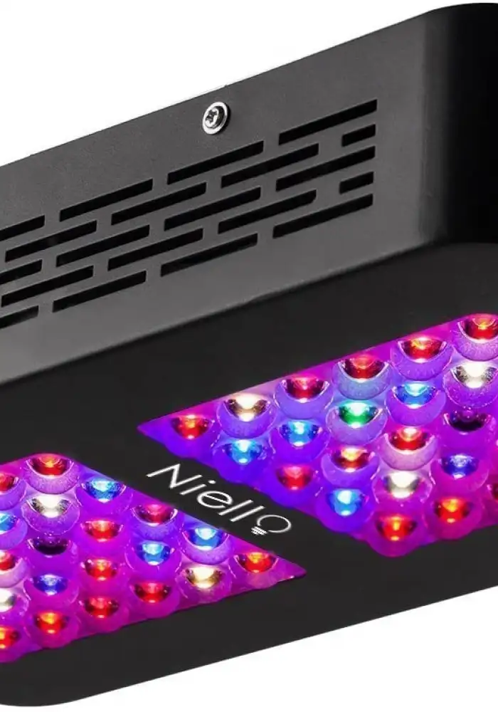 300W