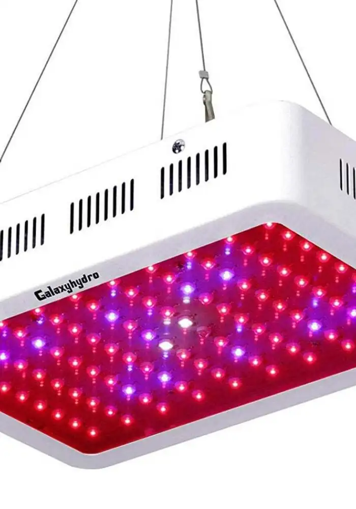 Roleadro Galaxyhydro 1000W