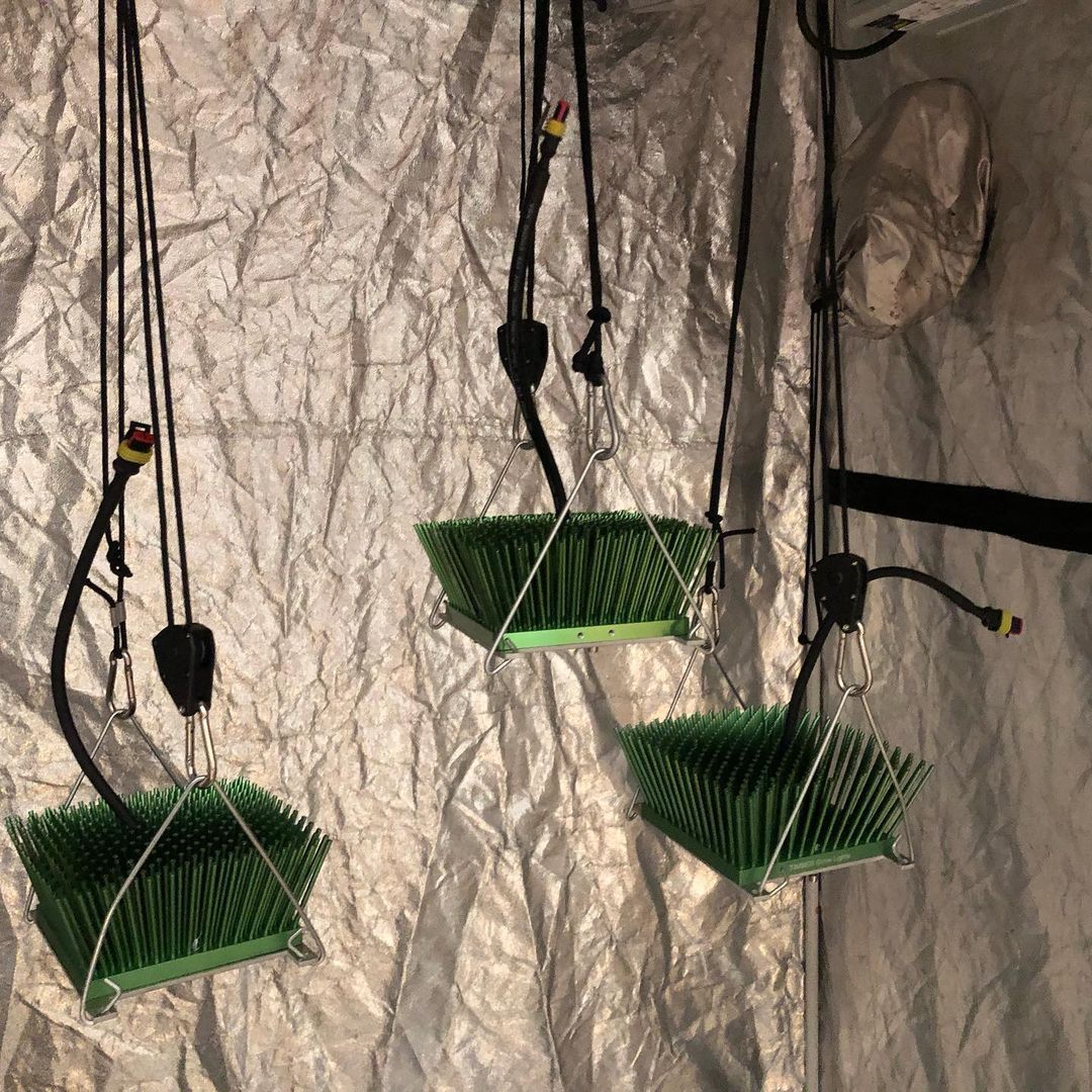 Timber Grow Lights lamps manufacturer. Cannabis lighting brand