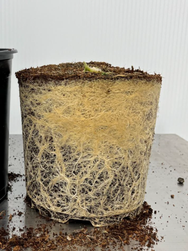 PRO-MIX CPX (70 | 30) COIR PERLITE