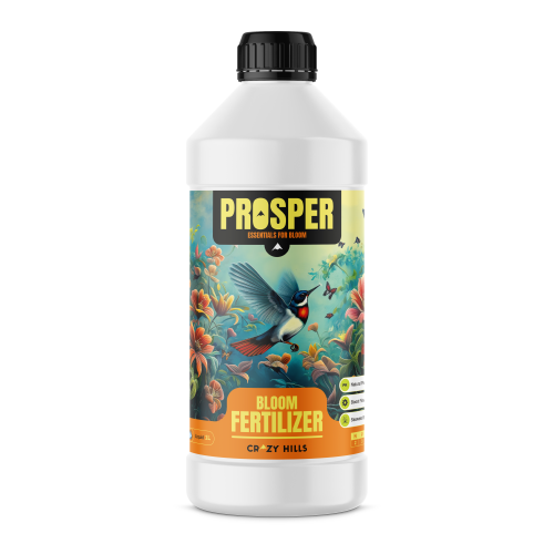 Prosper