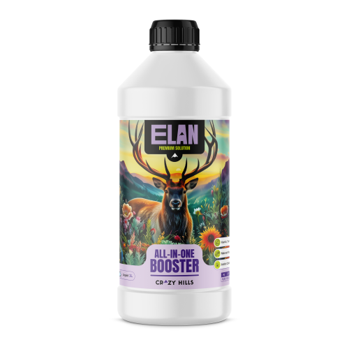 Elan