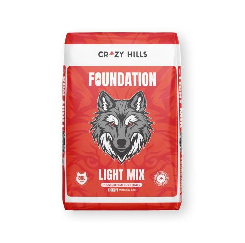 Foundation