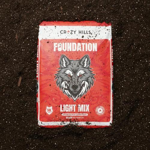 Foundation
