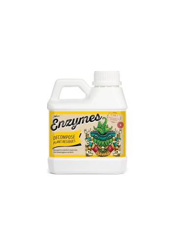 Enzymes