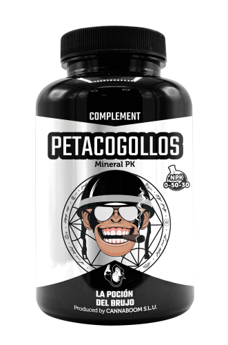 Petacogollos