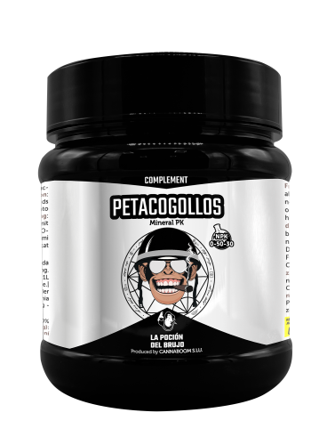 Petacogollos